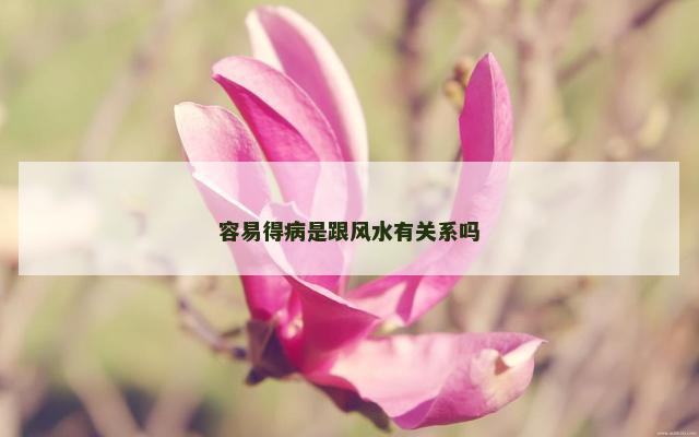 容易得病是跟风水有关系吗