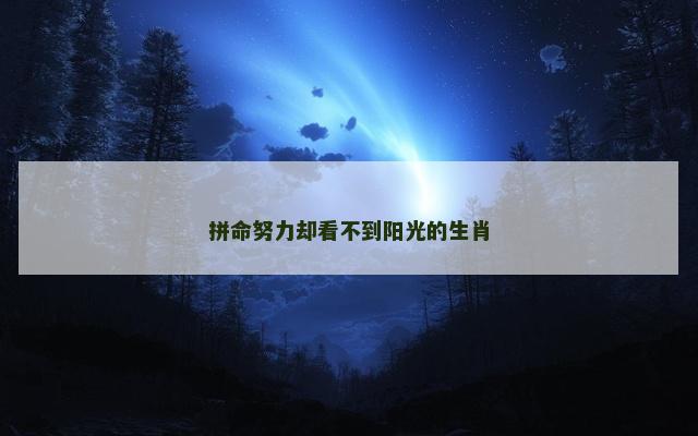 拼命努力却看不到阳光的生肖