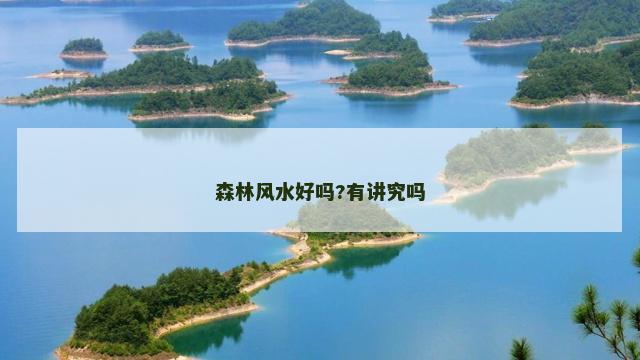 森林风水好吗?有讲究吗