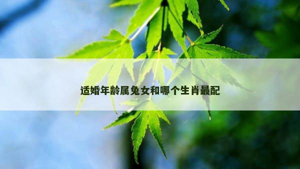 适婚年龄属兔女和哪个生肖最配