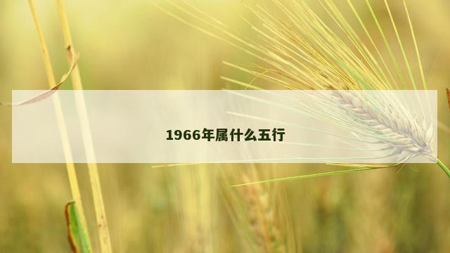 1966年属什么五行