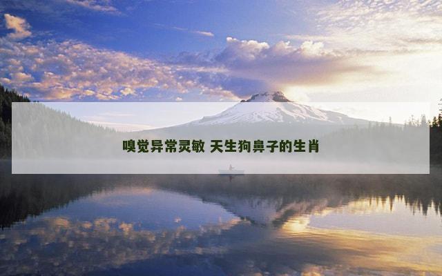 嗅觉异常灵敏 天生狗鼻子的生肖