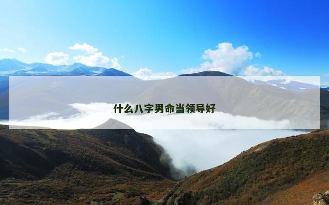 什么八字男命当领导好