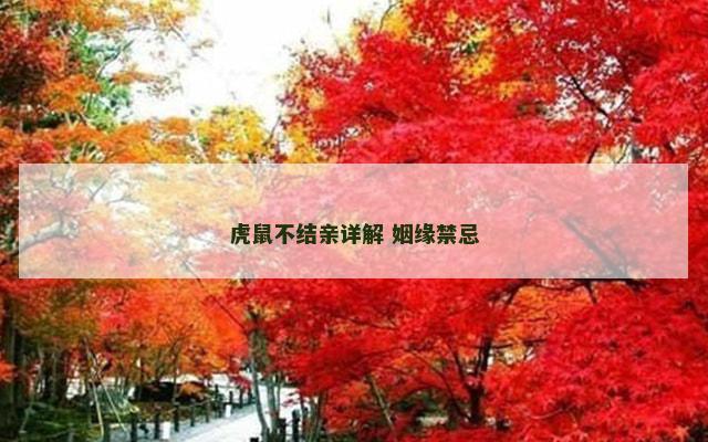 虎鼠不结亲详解 姻缘禁忌