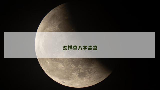怎样查八字命宫