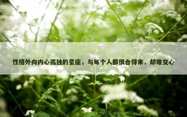 性格外向内心孤独的星座，与每个人都很合得来，却难交心