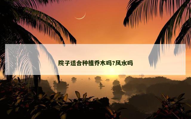 院子适合种植乔木吗?风水吗