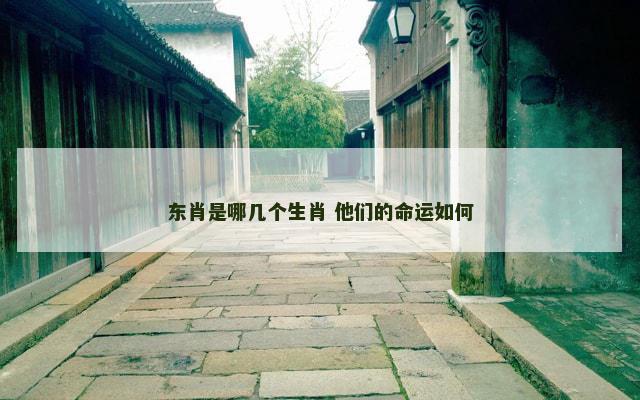 东肖是哪几个生肖 他们的命运如何