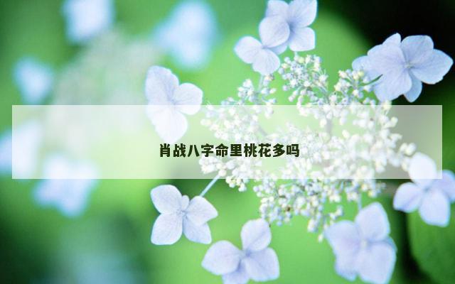 肖战八字命里桃花多吗