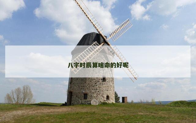 八字时辰算啥命的好呢