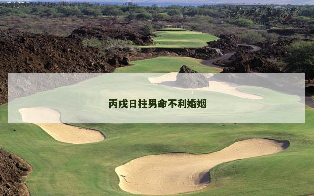 丙戌日柱男命不利婚姻