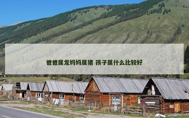 爸爸属龙妈妈属猪 孩子属什么比较好