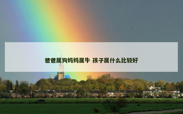 爸爸属狗妈妈属牛 孩子属什么比较好