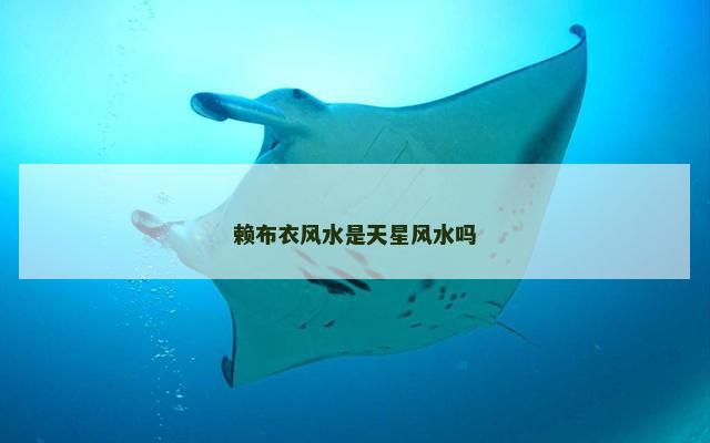 赖布衣风水是天星风水吗