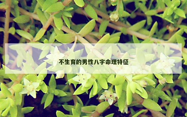 不生育的男性八字命理特征