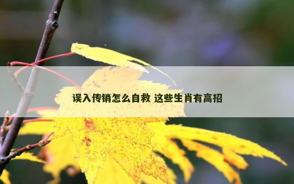 误入传销怎么自救 这些生肖有高招