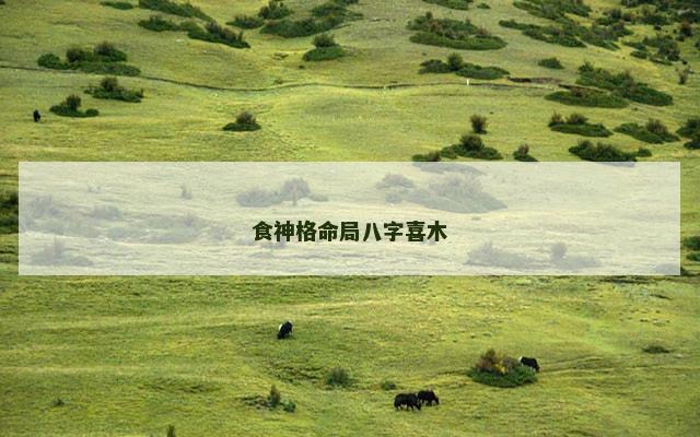 食神格命局八字喜木