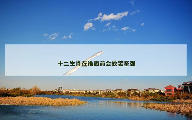 十二生肖在谁面前会故装坚强