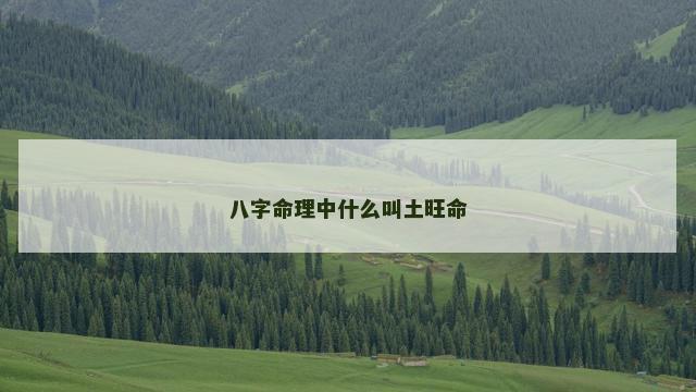 八字命理中什么叫土旺命