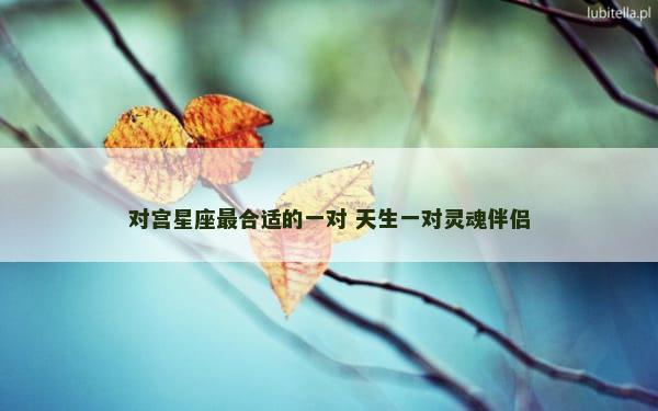 对宫星座最合适的一对 天生一对灵魂伴侣