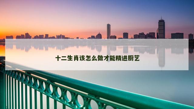 十二生肖该怎么做才能精进厨艺