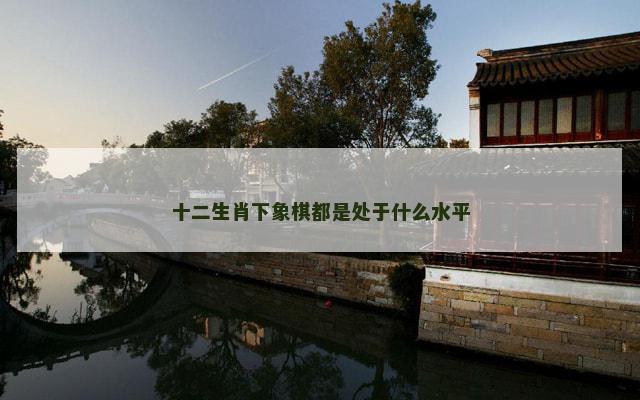 十二生肖下象棋都是处于什么水平