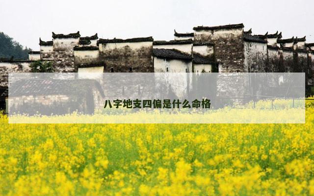 八字地支四偏是什么命格