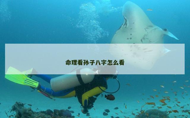 命理看孙子八字怎么看