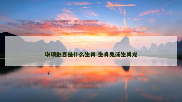 琳琅触目是什么生肖 生肖兔或生肖龙