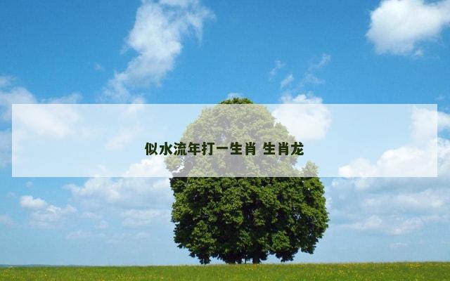 似水流年打一生肖 生肖龙
