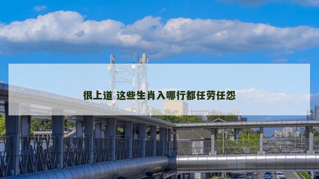 很上道 这些生肖入哪行都任劳任怨