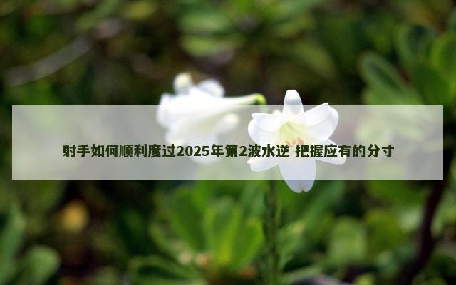 射手如何顺利度过2025年第2波水逆 把握应有的分寸
