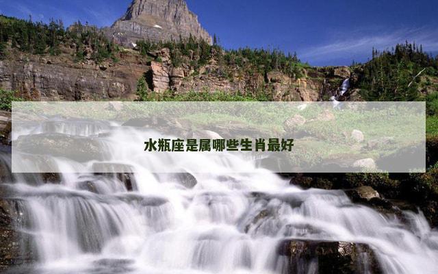 水瓶座是属哪些生肖最好