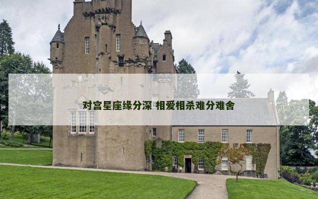 对宫星座缘分深 相爱相杀难分难舍