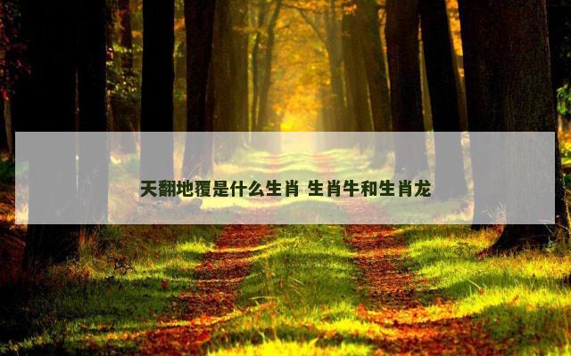 天翻地覆是什么生肖 生肖牛和生肖龙