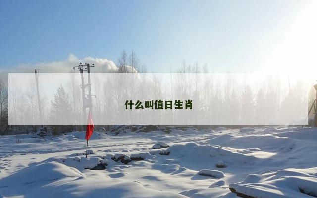什么叫值日生肖