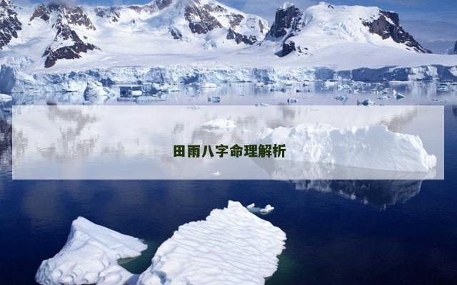 田雨八字命理解析