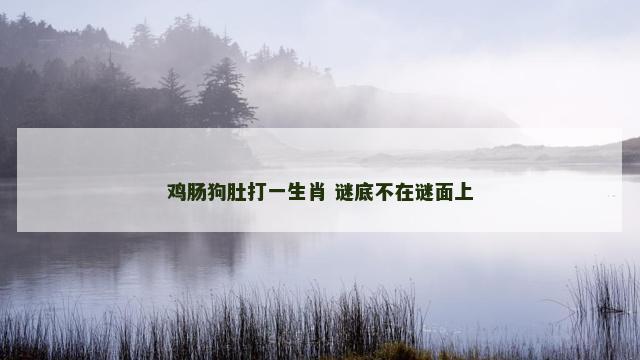 鸡肠狗肚打一生肖 谜底不在谜面上
