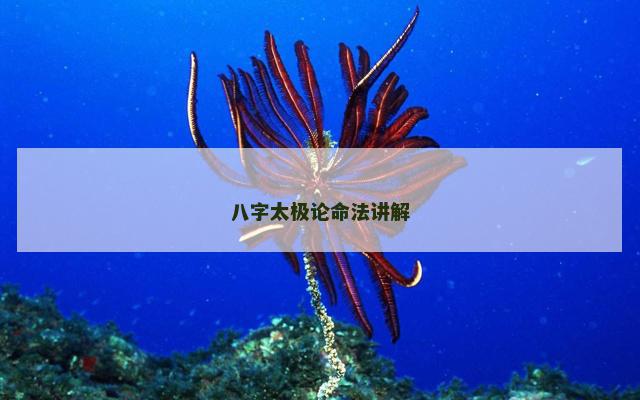八字太极论命法讲解