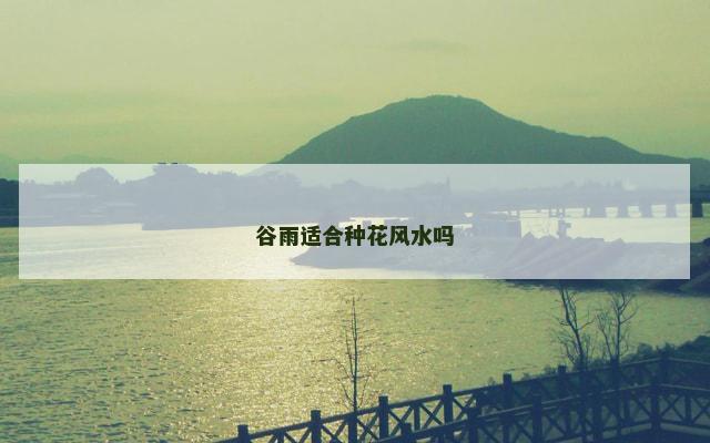 谷雨适合种花风水吗