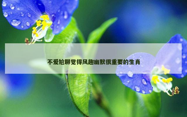 不爱尬聊觉得风趣幽默很重要的生肖