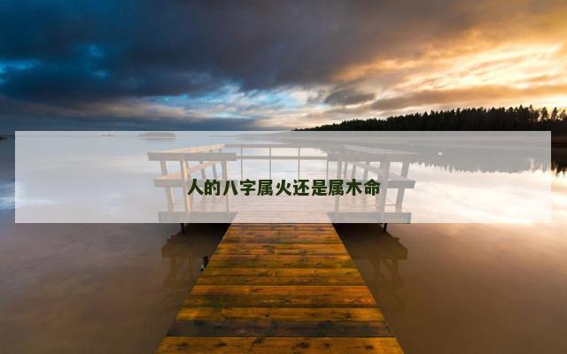 人的八字属火还是属木命