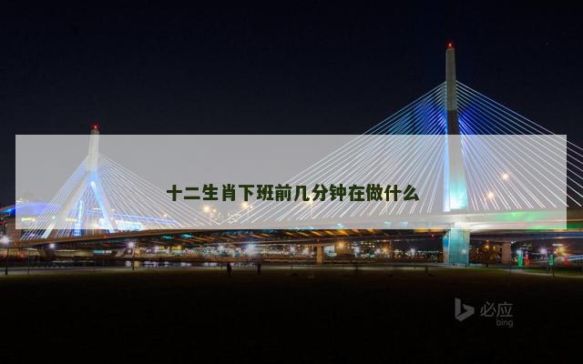 十二生肖下班前几分钟在做什么