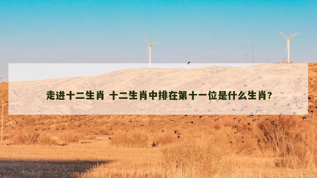 走进十二生肖 十二生肖中排在第十一位是什么生肖?