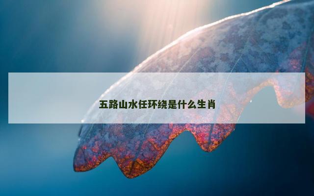 五路山水任环绕是什么生肖