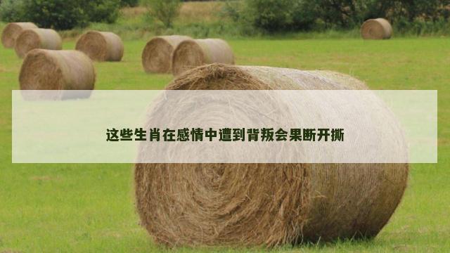 这些生肖在感情中遭到背叛会果断开撕