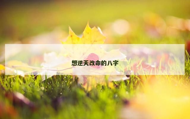 想逆天改命的八字