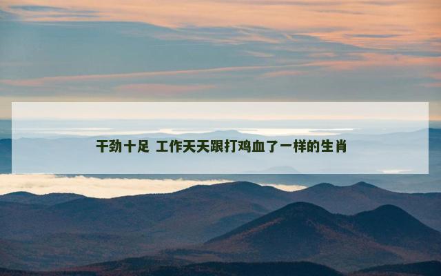 干劲十足 工作天天跟打鸡血了一样的生肖