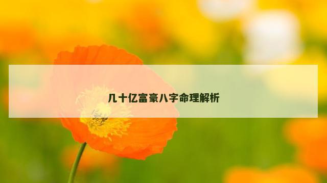 几十亿富豪八字命理解析