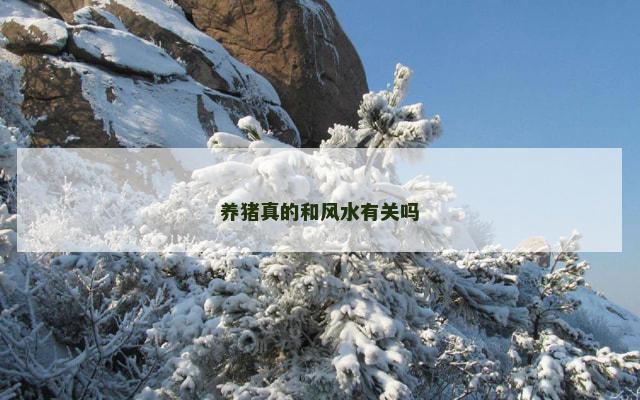 养猪真的和风水有关吗